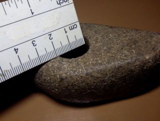 Rare Cucuteni - Trypillian Stone Axe Hammer Tool Head 5000 - 3000 BC 98 9