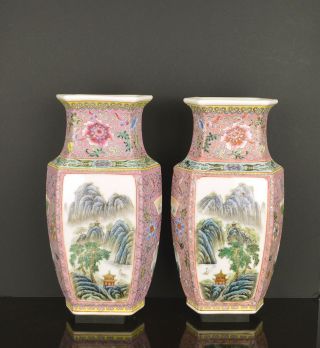 A Very Fine Mirrored Chinese Porcelain Vases 20th Century