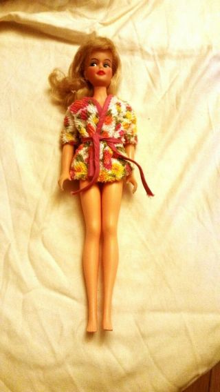 1960 ' s Vintage Barbie & Ken dolls,  cases,  clothing & accessories 5