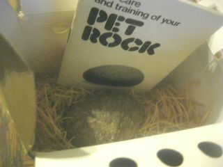 1975 Pet Rock By Rock Bottom Productions In Worn Box W/training Booklet