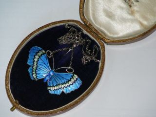 Large Edwardian Ja & S Silver Enamel Butterfly Necklace