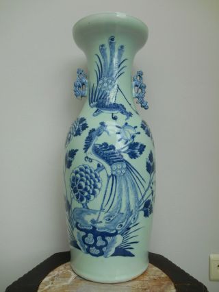 Antique Large Celadon Ground Vase With Birds And Flowers - 19th Century