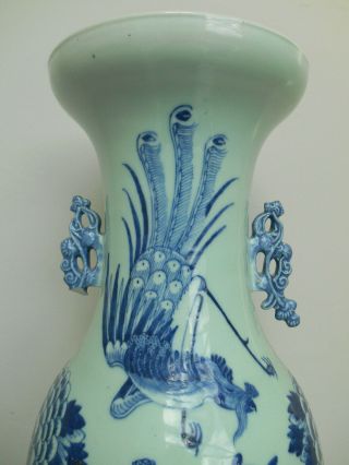 Antique large celadon ground vase with birds and flowers - 19th century 6