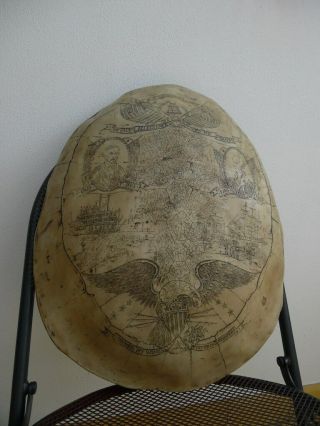 Modern Scrimshaw - Like Patriotic Display Piece In The Form Of A Turtle Shell