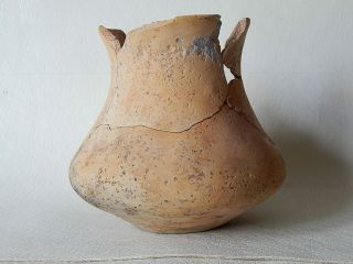 Prehistoric Cup 124 Mm