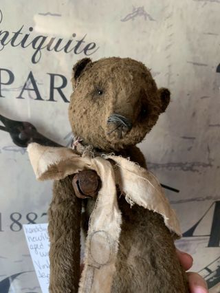 Whendi’s Bear by Artist Wendy Meagher 11 Inch Brown bear  5