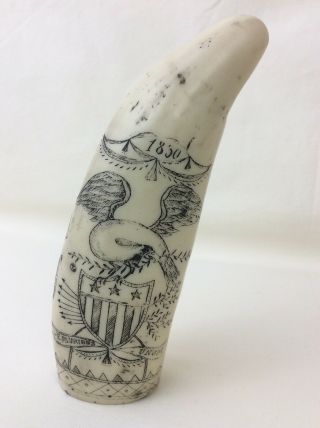 Collectible Carved Nautical Scrimshaw Faux Whales Tooth “ship Susan” Americana