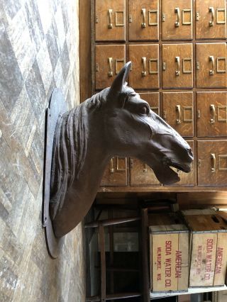 Vintage Cast Iron Horse Head,  Vintage Animal Mount,  Horse Equestrian Decor
