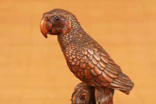 antique true to life old boxwood parrot statue figure collectable netsuke gift 2