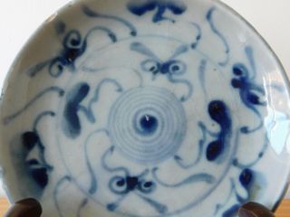 c.  17th - Antique Chinese Blue & White Ming Spiral Pattern Porcelain Plate 6