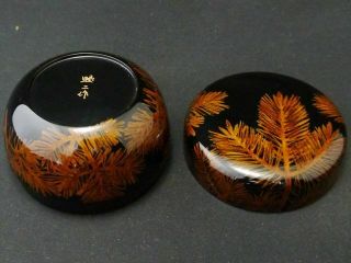 Japanese Traditional Lacquer Wooden Tea caddy PINE design (Hira -) Natsume (719) 7