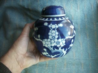 Old Vintage Antique Chinese Porcelain Blue White Blossom Ginger Jar Pot Floral