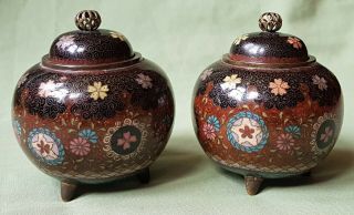 Good 19th Century Japanese Or Chinese Cloisonne Lidded Jars