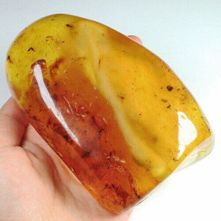 263.  33g Natural Baltic Butterscotch Egg Yolk Amber Facet Rough Specimen Msjb895