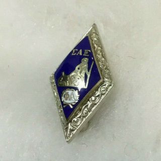 Vintage Sigma Alpha Epsilon Fraternity Pin Greek 1950 ' s - 1960 ' s 2