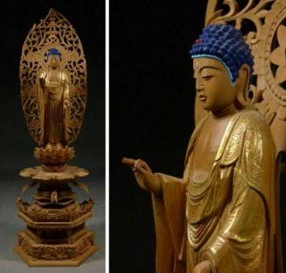Japanese Japan,  Buddhism Jodo Shu Kinsai Wooden Buddha Statue Amitabha 37cm 飛