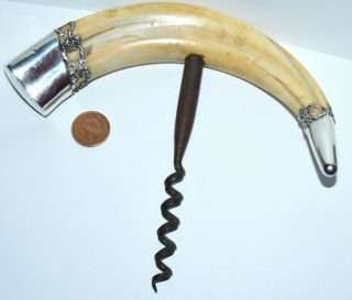 Antique Tusk Corkscrew With 925 Sterling 1000 Mounts Numbered 206 Estate