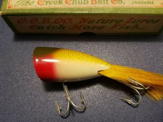 Near Plunking Dinger - Golden Shiner in correct end labeled box 6204 3