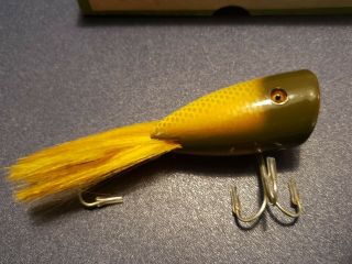 Near Plunking Dinger - Golden Shiner in correct end labeled box 6204 8