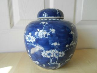 Large Chinese Blue & White Prunus Jar Double Ring Mark 19th/20th Century