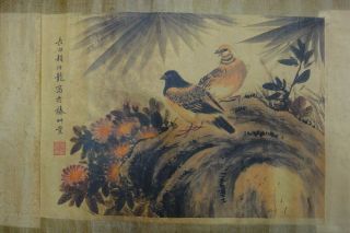 Old Very Long Chinese Scroll Hand Painting Flower And Bird " Yanbolong " Marks