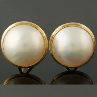 Large Solid 14k Yellow Gold,  16mm Mabe Pearl,  Omega Back Estate Earrings,  Nr