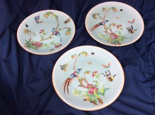Antique Chinese Celadon Plates - Enamel Floral Birds Butterfly,  Signed