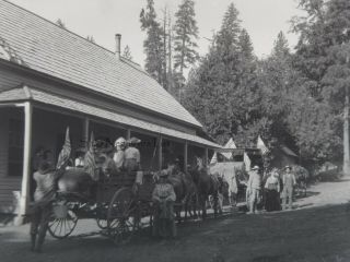 32 x Antique B&W Negatives Yosemite Nat ' l Park John Muir Callipene Brown?,  1900s 4