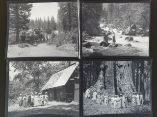 32 x Antique B&W Negatives Yosemite Nat ' l Park John Muir Callipene Brown?,  1900s 5
