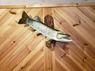 Musky Trophy Wood Carving Fish Taxidermy Wallmount Fishing Lure Casey Edwards