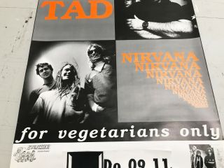 Very rare NIRVANA & TAD poster.  Germany 1989 LARGE 22 