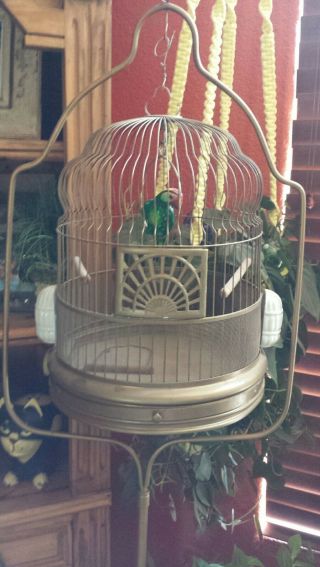 Hendryx ? Bird Cage Brass ? Metal Beehive Dome House Terarium Antique Feeders