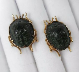 Rare Antique Victorian Scarab Beetle 10k Solid Gold Earrings 3.  4g