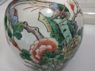 A CHINESE FAMILLE - VERTE BULBOUS JAR AND COVER WITH BIRD 19TH CENTURY 5