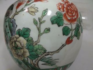 A CHINESE FAMILLE - VERTE BULBOUS JAR AND COVER WITH BIRD 19TH CENTURY 6