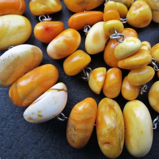 Antique Natural Butterscotch Egg Yolk Baltic Amber Necklace 40.  7g. 8