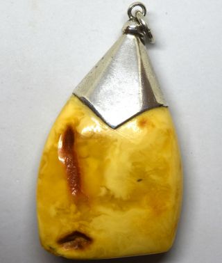 Vintage Large Sterling Silver And Untreated Baltic Butterscotch Amber Pendant