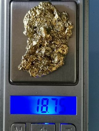 Gold Nugget - Stunning - 18.  75 Gram - Cape York Qld Specimen - Rare -