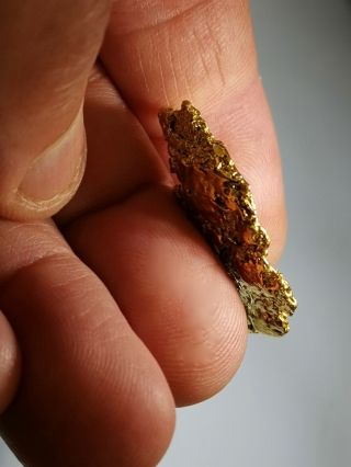 GOLD NUGGET - STUNNING - 18.  75 gram - Cape York QLD Specimen - RARE - 4