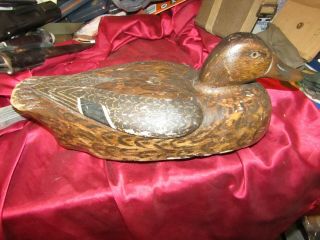 Decoy Antique mated early MASON?? PREMIUM,  LIGHT WEIGHT DUCKS 11