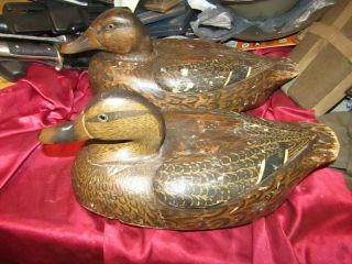 Decoy Antique Mated Early Mason?? Premium,  Light Weight Ducks