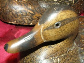 Decoy Antique mated early MASON?? PREMIUM,  LIGHT WEIGHT DUCKS 3