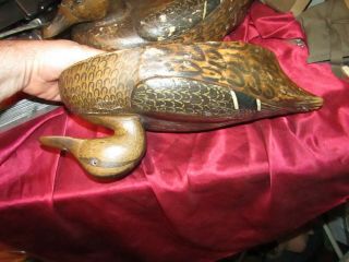 Decoy Antique mated early MASON?? PREMIUM,  LIGHT WEIGHT DUCKS 6