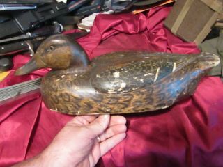 Decoy Antique mated early MASON?? PREMIUM,  LIGHT WEIGHT DUCKS 7