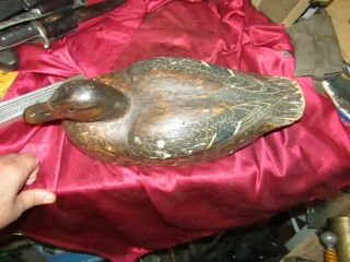 Decoy Antique mated early MASON?? PREMIUM,  LIGHT WEIGHT DUCKS 8