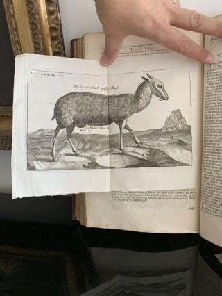 1678 : RARE FIRST EDITION IN ENGLISH of TAVERNER ' S TRAVELS MIDDLE EAST & ASIA 8
