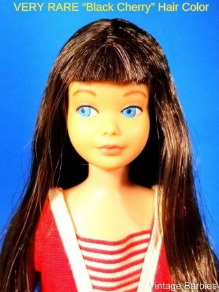 Very Rare " Black Cherry " Skipper Doll 950 W/oss Vhtf Minty Vintage 1960 