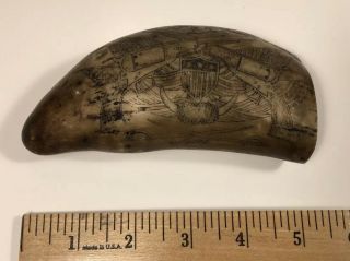 Non - Authenic Whale Tooth Scrimshaw,  Texas Theme