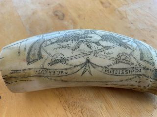 54 Scrimshaw,  Vintage,  Sperm Whale Tooth,  Faux/composite,  Vicksburg - Mississippi