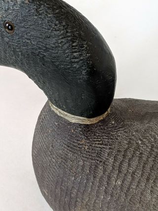 EVANS Vintage Duck Decoy Competitive Grade Mallard Paint Glass Eyes 10